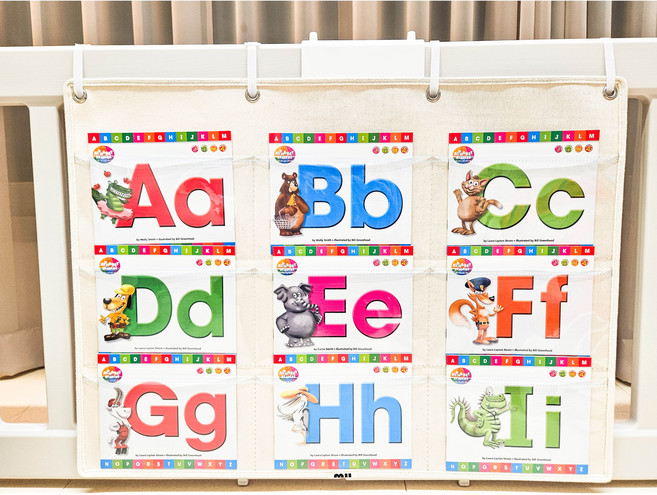 베이비룸 월포켓 전면 차트 책장 책꽂이 언어 낱말 카드 학습 교구, 1개, 베이비룸포켓B