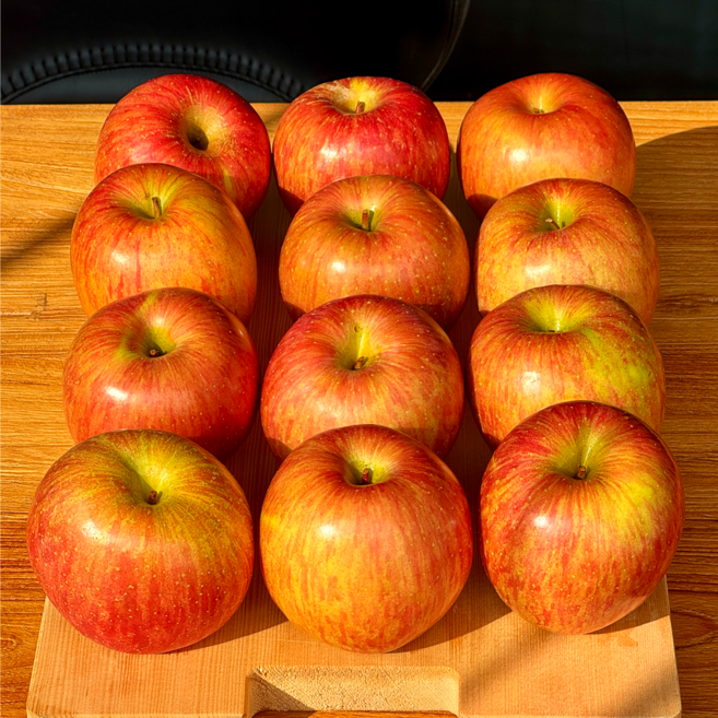 [품절임박] 초특가 사과, 1개, 초특가)_5KG (s-m) 한정수량