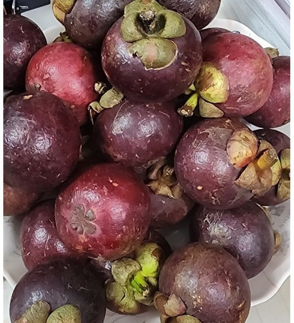 [신선 항공] 열대 망고스틴 생과 제철과일 달콤한 과즙 새콤, 1개, 1kg(2망, 4~8수/망)