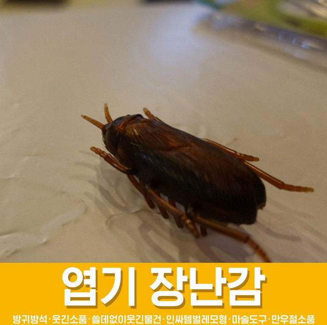 스투피드 만우절 장난감 모음, 12_기어가는 진동 바퀴벌레