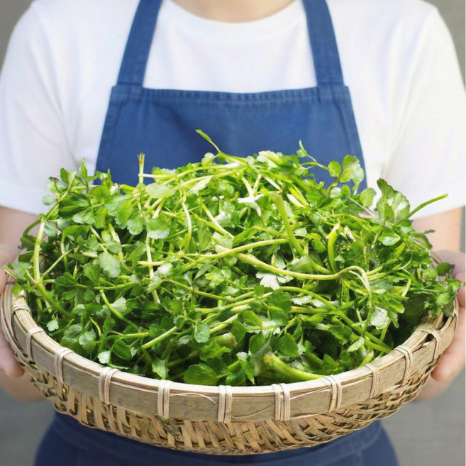 [하루100개한정] 더좋은 미나리 국내산 최고품질, 2kg, 1개
