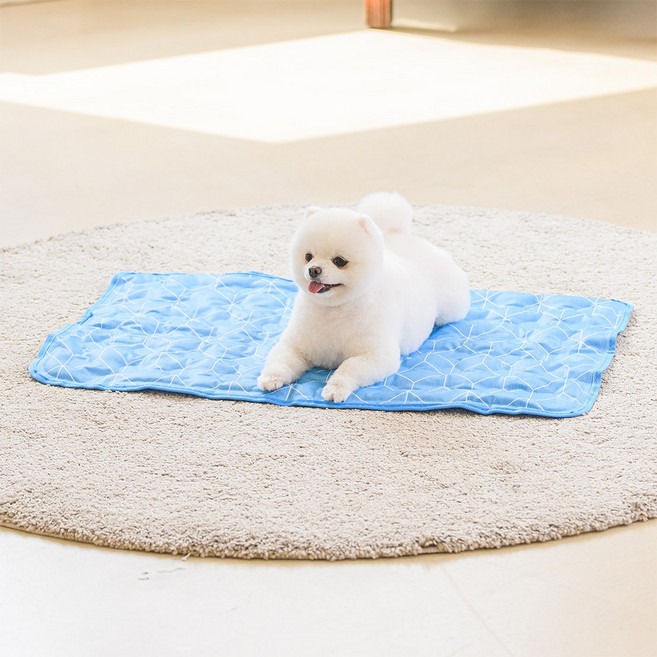 멍멍애용 반려동물 쿨매트, 블루, 1개
