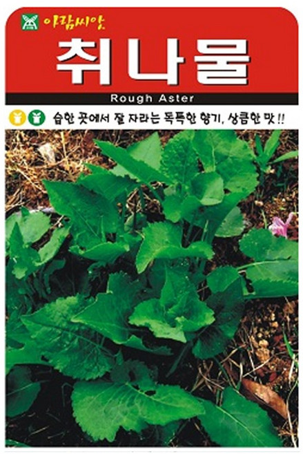 아람종묘 취나물 씨앗 1000p, 1개
