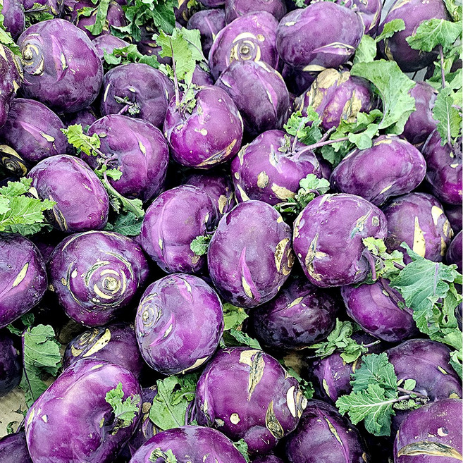 농가직송 맛보장 가성비최고 아삭달콤 제주 가정용 중소과 콜라비, 1박스, 10kg