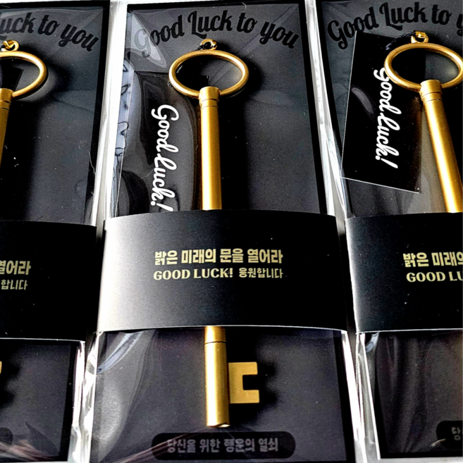 마보앤할로 행운의 열쇠 볼펜 합격볼펜 수능 단체 선물 중학생 고등학생, 2개, 빛나는 미래의 문을 열어라(1개)