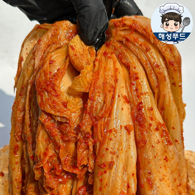 해성 묵은지 묵은 익은 숙성 신 김치, 1개, 10kg
