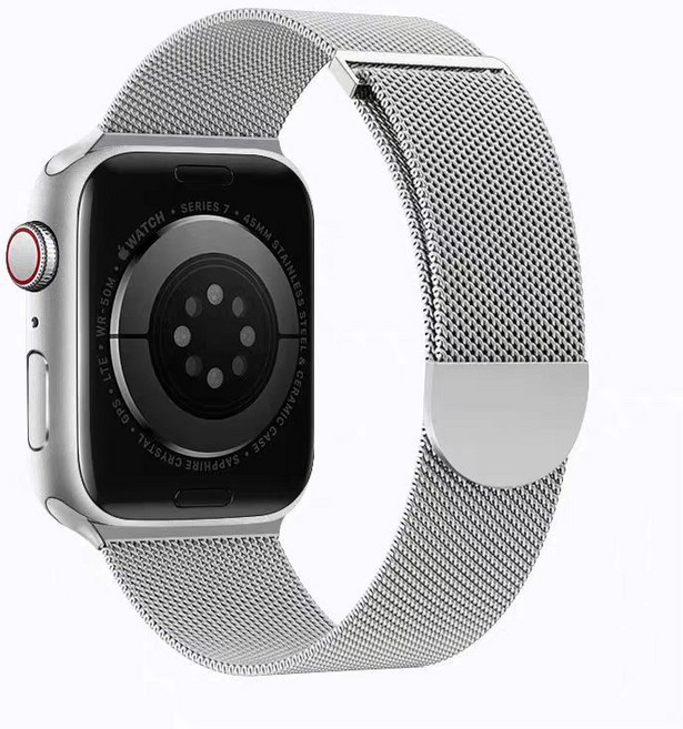 Apple Watch 애플워치 밀레니즈 원터치 마스네틱 자석형 스트랩 밴드, 실버