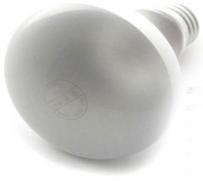 식물전구 중간스위치 콘센트플러그 소켓 코드선, 반사형전구, 1개