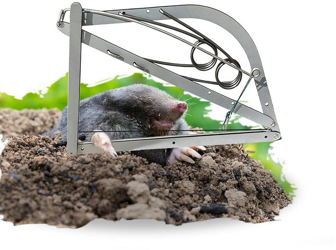미국출고 평점4.5+ 170074 Reusable Outdoor Chipmunk Spring Trap - 메도우 Woods Orchard Gardens & All Spac, 2