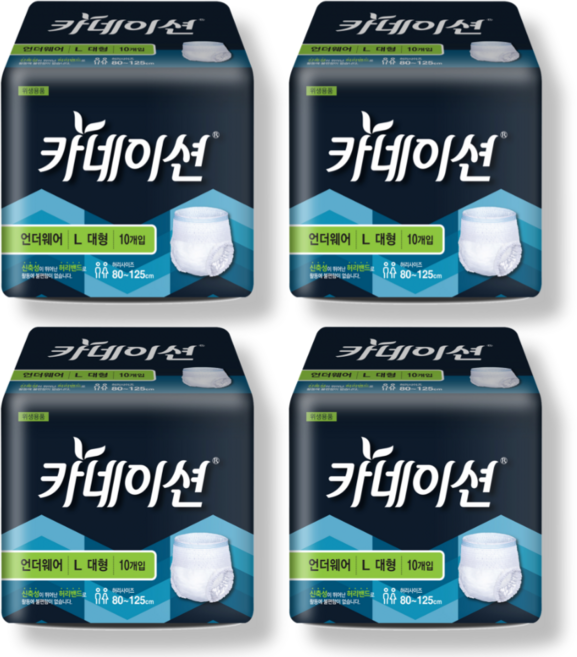 카네이션 남여공용 성인기저귀 언더웨어 리뉴얼상품 발송, 대형, 10매, 4세트