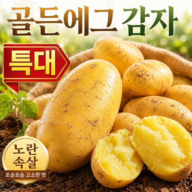 골든에그 감자 황금감자 포슬포슬 노란속살 산지직송, 1박스, 5kg 특대