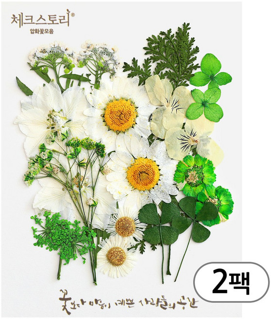 체크스토리 압화 컬러믹스 꽃모음 압화공예 2팩, 락스퍼그린