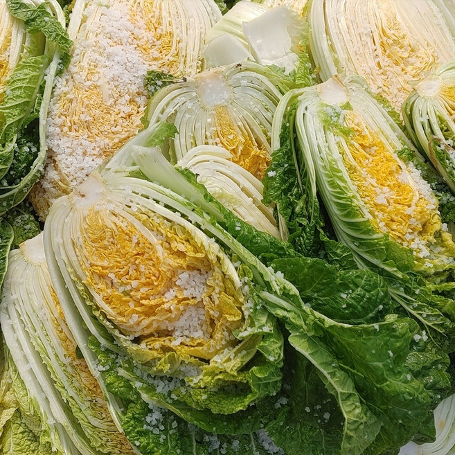 26년 해남 절임배추 상시출고 가능, 4월 14일 화 출고, 1박스, 20kg