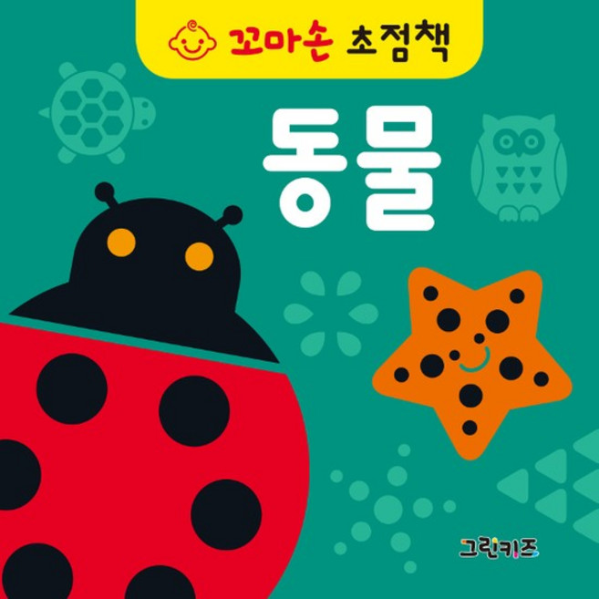 꼬마손 초점책 - 동물, 상품명