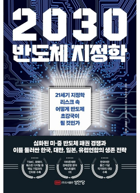 2030 반도체 지정학:21세기 지정학 리스크 속 어떻게 반도체 초강국이 될 것인가, 성안당, 오타 야스히코
