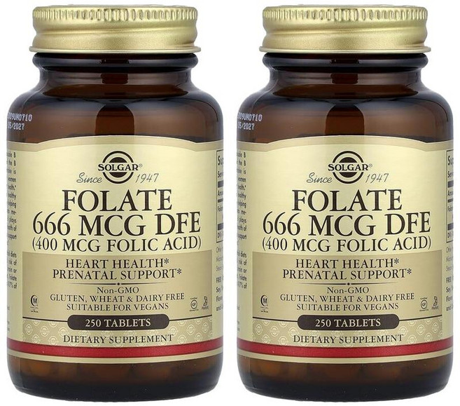 솔가 엽산 폴레이트 폴릭엑시드 400mcg 250정 2개