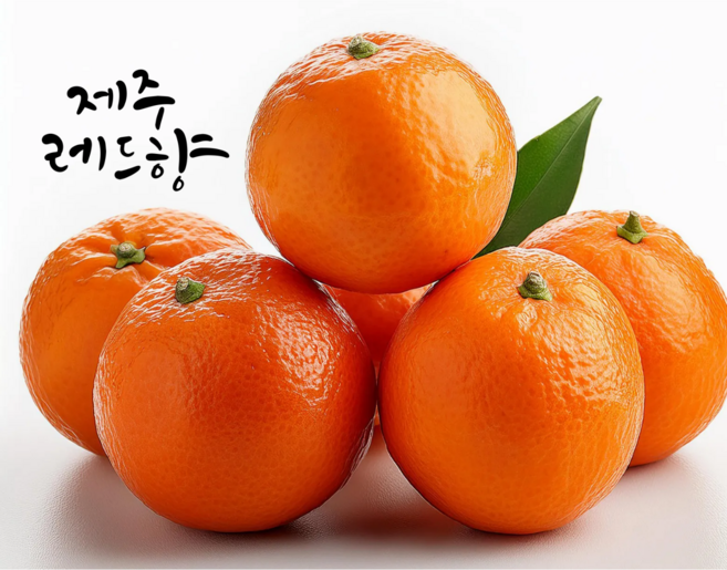 제주 레드향 감귤 과일, 1박스, 1kg 중대과 레드향 5~6수