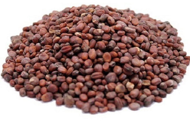 그린내추럴 국산 나복자 600g, 1개