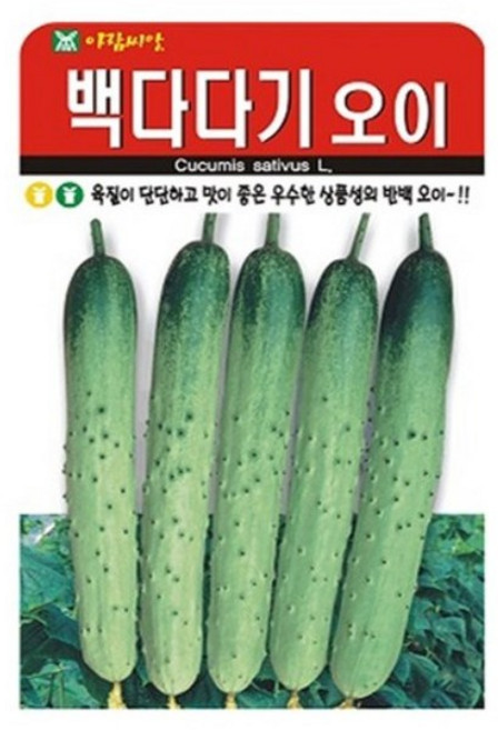 아람종묘 백다다기 오이 씨앗 50p, 1개