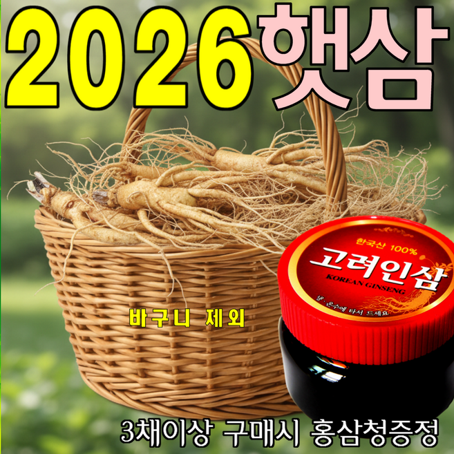 인삼 A+콩난발삼 750g 산지에서 발송 가정용 수삼 판매자/금산인삼아줌마(김은자), 1개