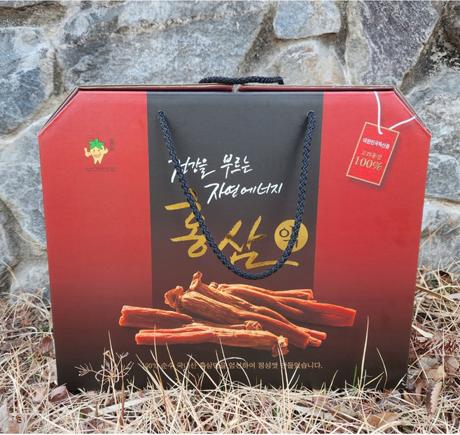(튼튼원) 참살이홍삼액60포(신제품 출시)엑기스 진액 농축액 고려홍삼차 발효숙성 어린이홍삼 선물제품, 1개, 4.8L