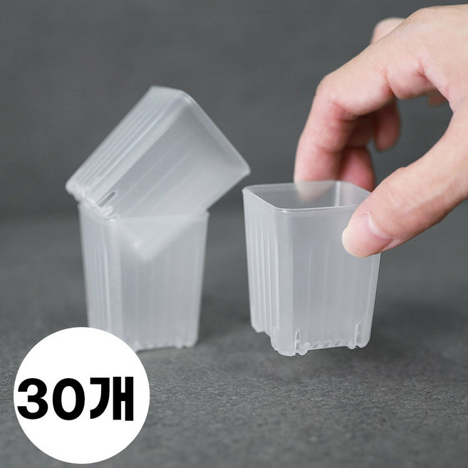 미니 투명 플라스틱 슬릿화분 사각, 30개