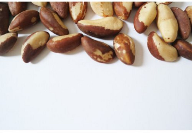 브라질넛 브라질넛츠 1키로, 1개, 1kg