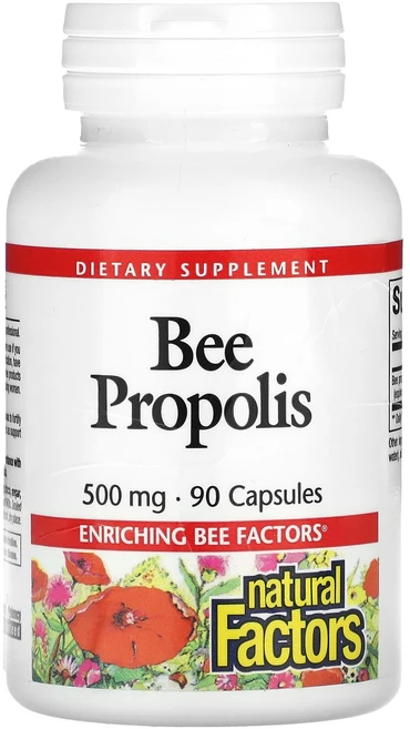 Natural Factors 프로폴리스 500mg 캡슐 90정, NaturalFactors프로폴리스500mg캡슐90정, 1개 - 쿠팡