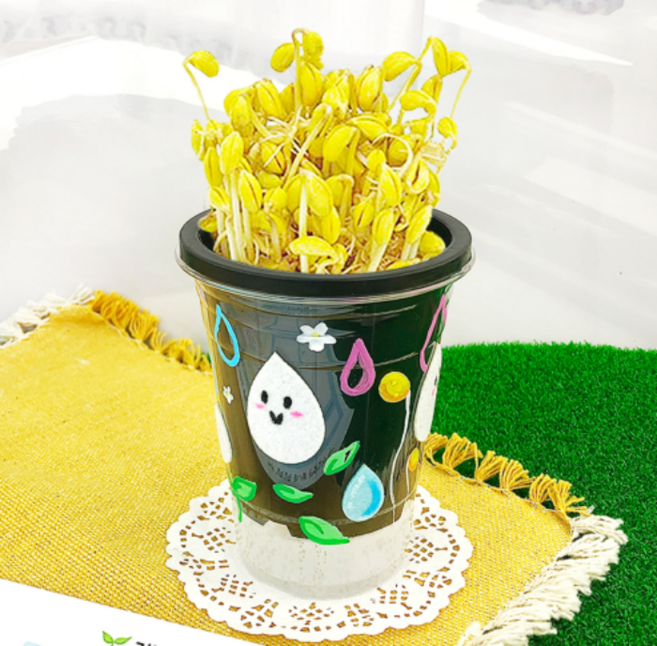 교과서에 나오는 콩나물 키우기 키트 모음, 10개, 콩나물키우기키트