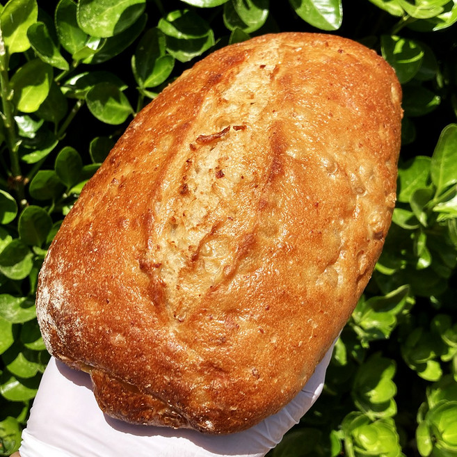 [유스마일] 귀리 통밀빵 비건 저당, 330g, 1개