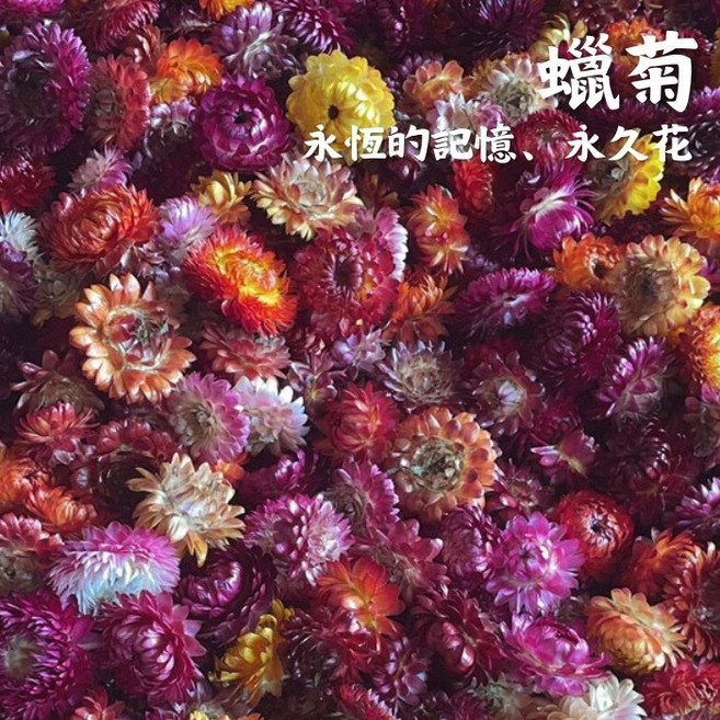 - 棉布抽繩袋包裝, 蠟菊10g