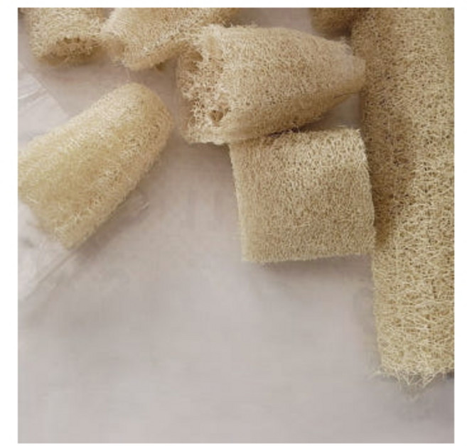 제로웨이스트 국내산 천연 수세미 만채농장 (10-15cm) 4개-7개 랜덤, 1세트, 1세트