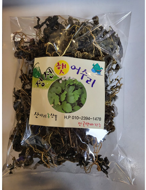 강원도 정선 산지직송 산아리농산물 어수리 나물, 어수리 140g