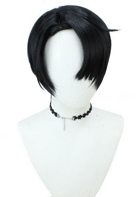 成人沙迦男團假髮, 成人秦宇假髮 (30cm), 1個
