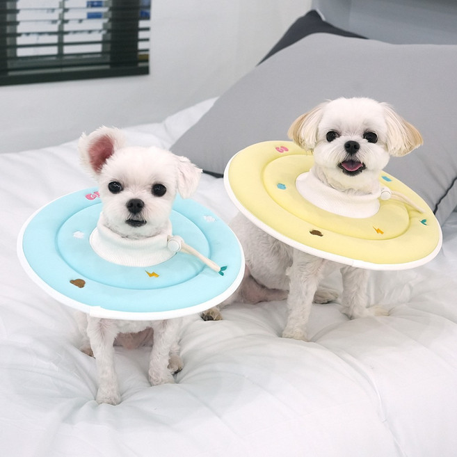 패리스독 에스프아 스폰지 넥카라 옐로우블루, 블루 M, 1개