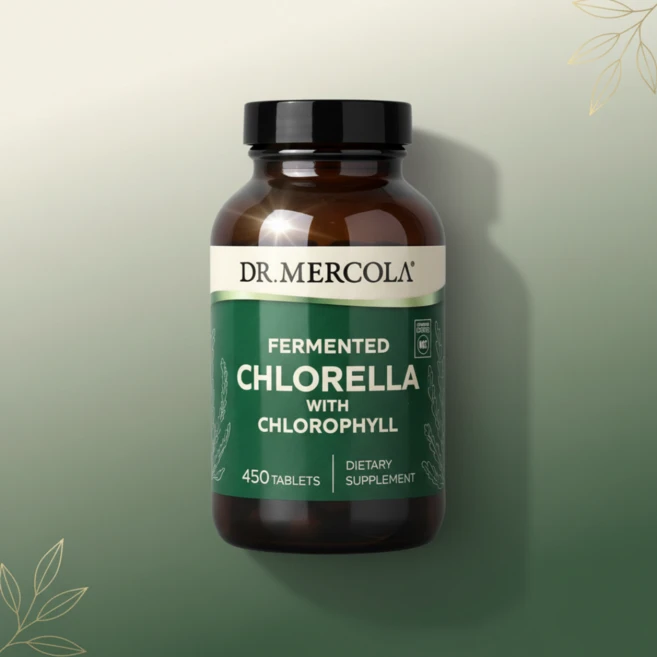 Dr. Mercola 닥터 머콜라 그린 슈퍼 푸드 발효된 클로렐라 Chlorella, 1개, 450정 - 쿠팡