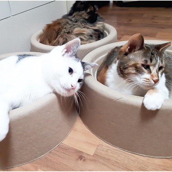 테비 플레이그라운드 종이방석(나선형)/고양이 박스, 1개