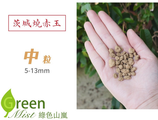 茨城燒赤玉土 優質盆栽介質 促進植物健康生長 1個 中粒 1L, 中粒, 1L