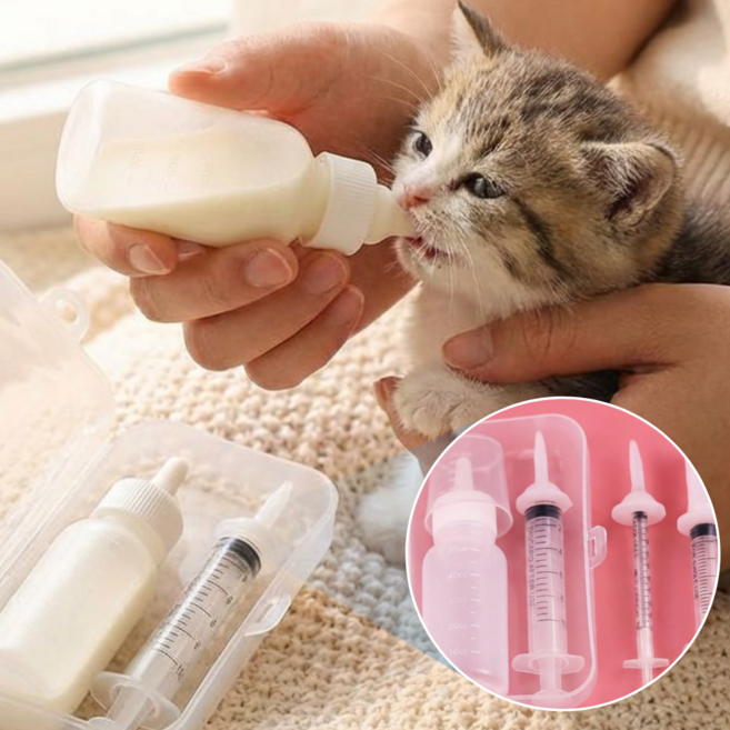 슈슈펫 반려동물 젖병 수유 피딩용 주사기 세트, 1개, 화이트