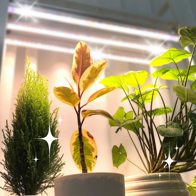 식물전파사 꿀빠 딥그린 식물등 식물조명 선반 밑 많은 화분 led식물등 세트, 1세트, 주백색