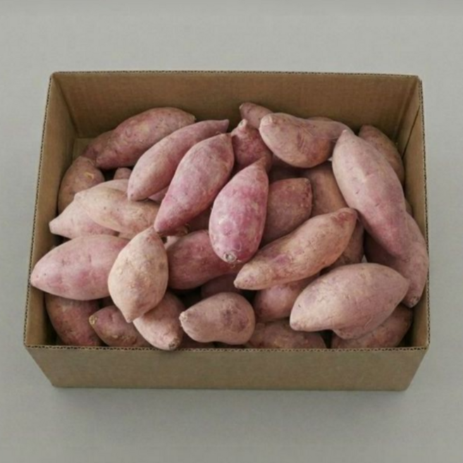 레드이츠 꿀고구마 프리미엄 특상, 1개, 10kg 특상