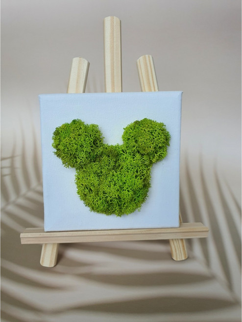 공기정화식물 스칸디아모스 캐릭터액자 - 미키마우스 미니마우스, 스프링그린