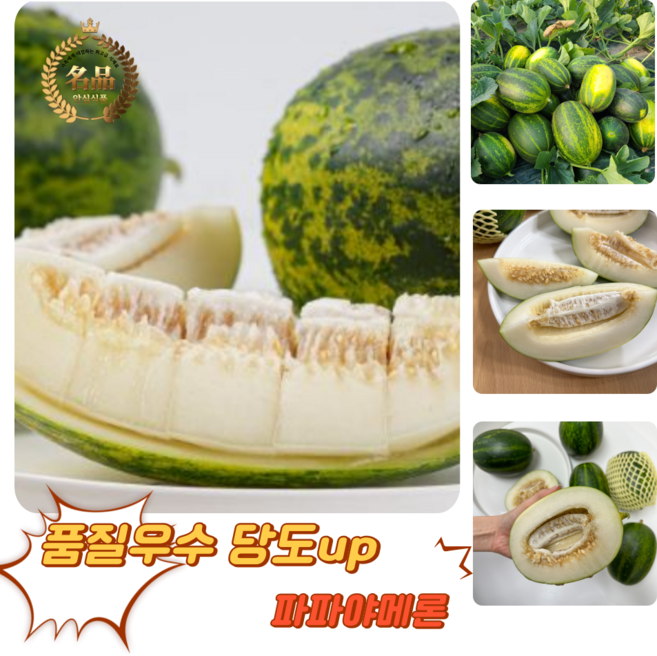 굿피플 파파야메론 개구리참외 메론 멜론, 1박스, 파파야메론 5kg 랜덤과