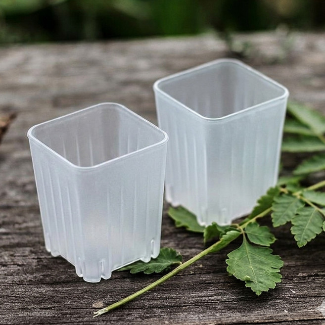 원예용 사각 슬릿 화분 플라스틱 미니 플분 분갈이 삽목 삽수 다육이, 투명