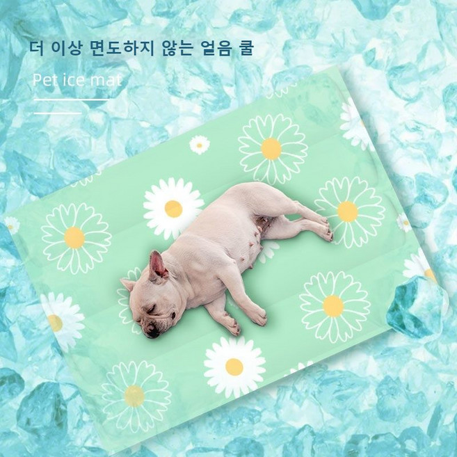 여름 애완 동물 아이스 매트 개 고양이 잠자는 매트, 국화 라운드, 1개