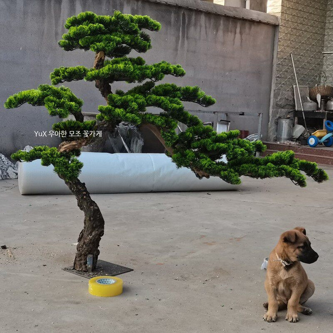 인조 소나무 거실 대형 장식 모조 가짜 인테리어 소품 높이 1.2mx폭 1.5m