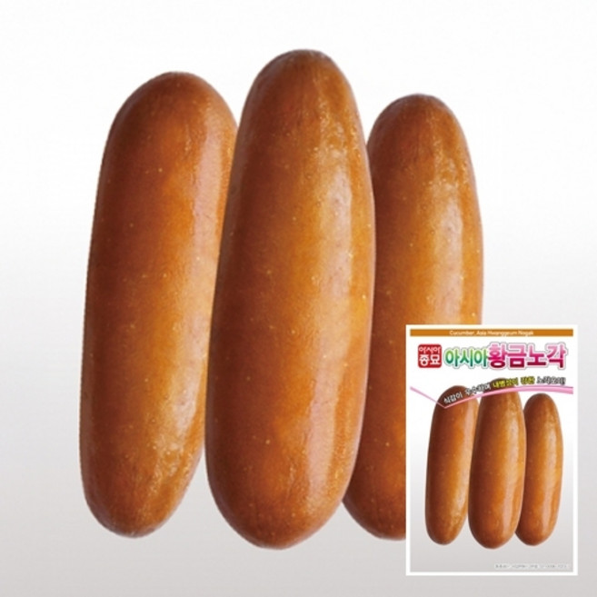 아시아 황금 노각 오이 씨앗 50립, 1개