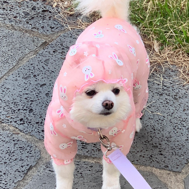 [토끼] 강아지 해충방지 옷 진드기 방지 옷 메쉬올인원, 1개