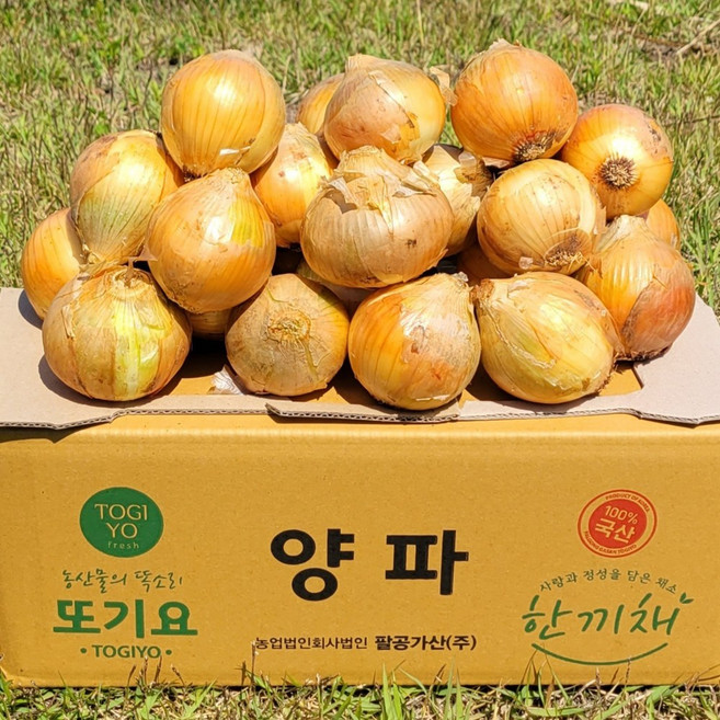 [또기요]양파 3kg5kg10kg국산양파(대짜) 상품 가정용 업소용, 1개, 양파(대), 10kg