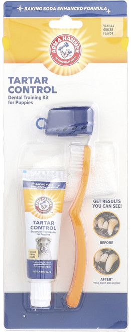 Arm & Hammer 치석 관리 강아지용 치아 트레이닝 키트 바닐라 생강 4개 키트